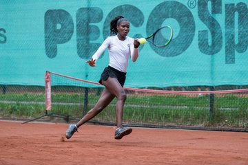 Noma Noha Akugue 250 - Klippeldon